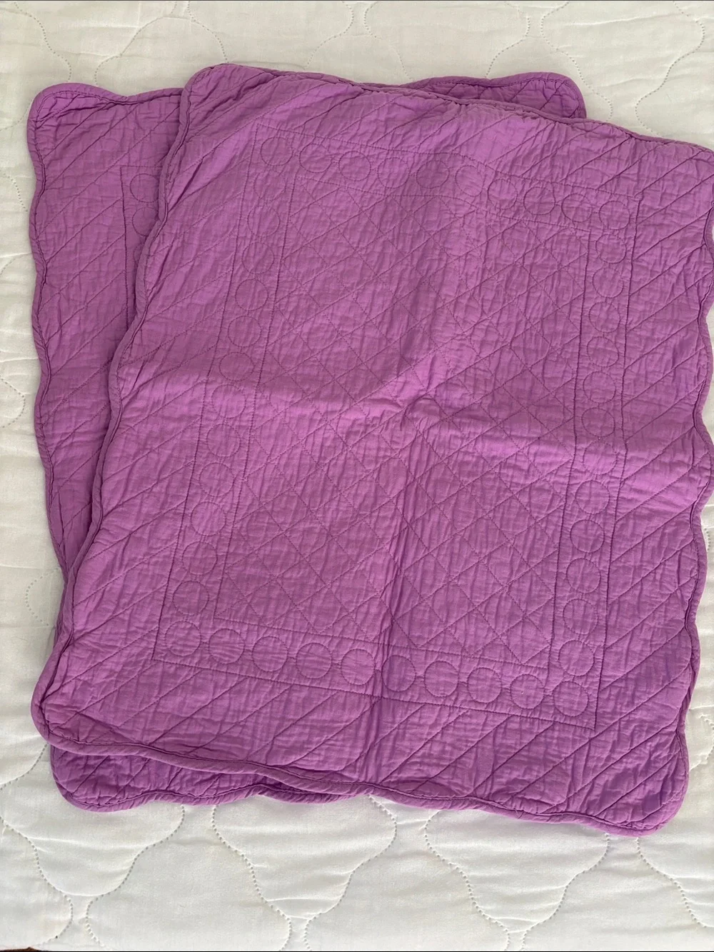 2 Isaac Mizrahi Cotton Quilted Pillow Shams Envelope back Lilac Purple Pair
